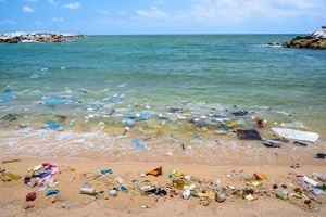 plastic trash near seashore