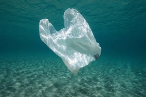 polythene bag in an ocean